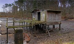 Die Hütte am Teich