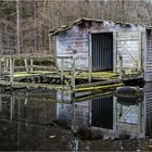 Die Hütte am Teich