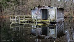 Die Hütte am Teich