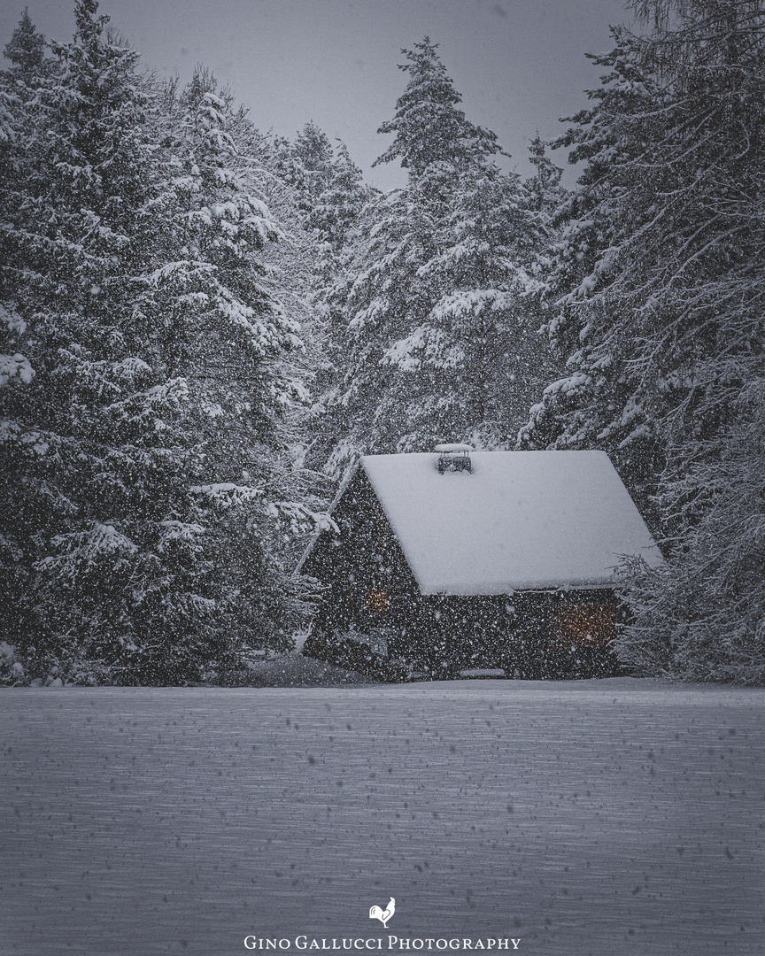 Die Hütte am Wald