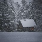 Die Hütte am Wald