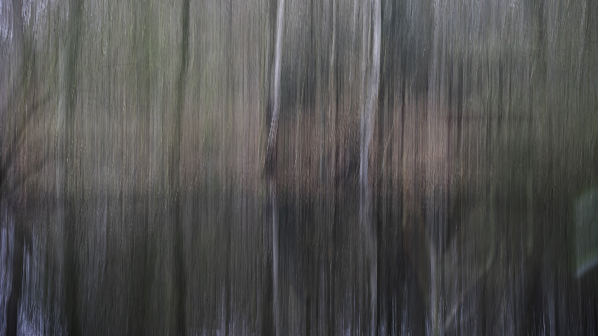 Die Hütte am Waldteich (ICM)