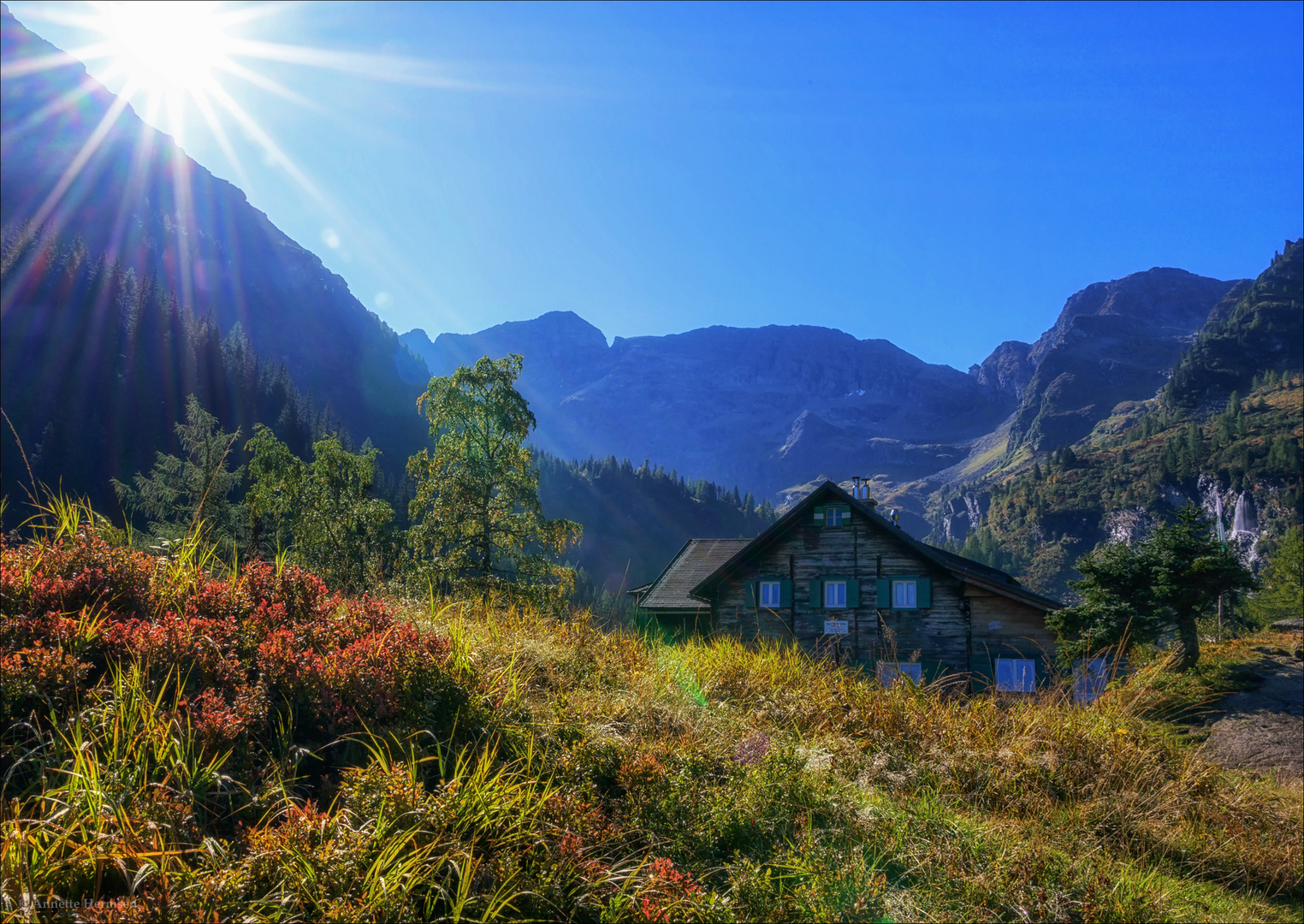 Die Hütte