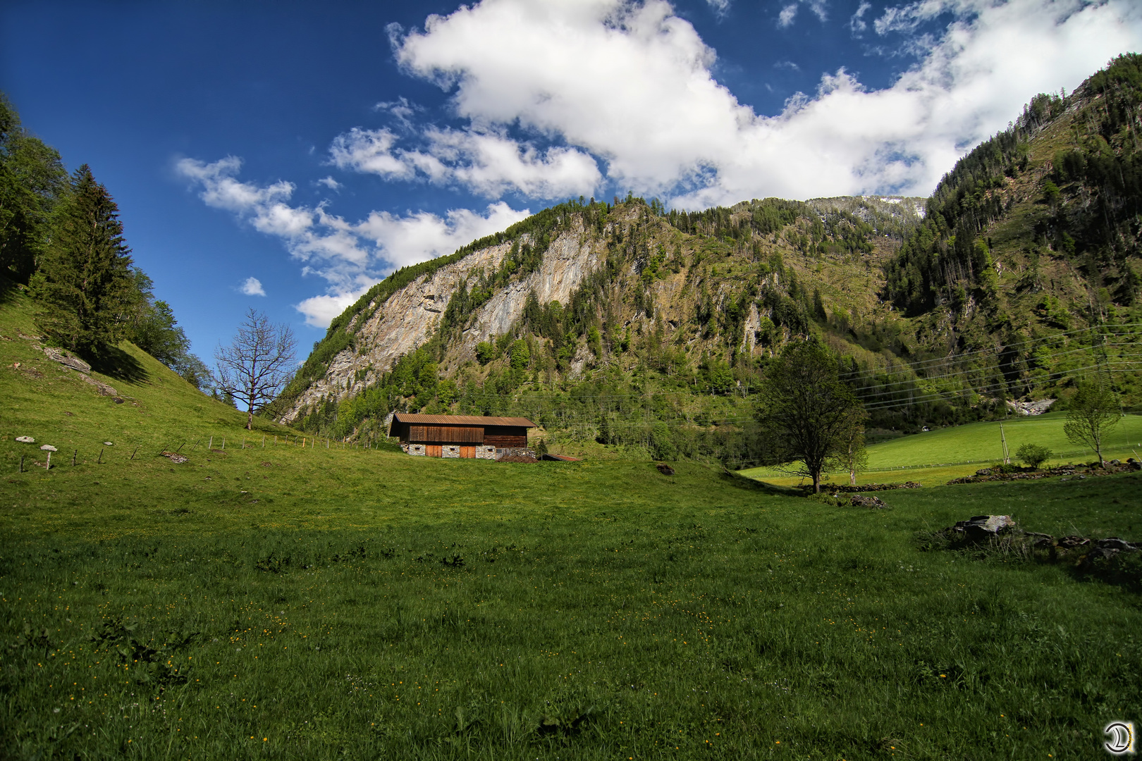 Die Hütte