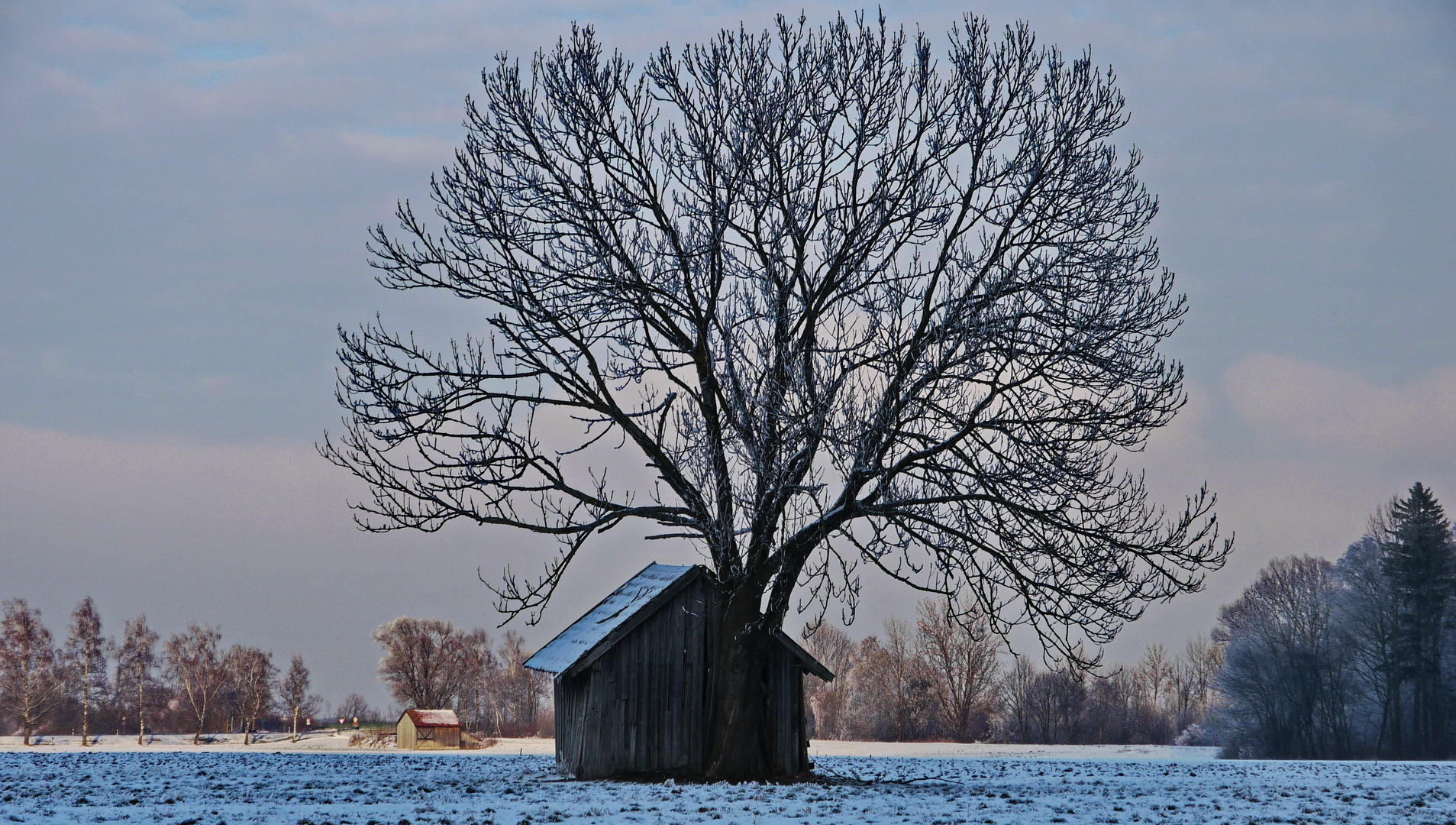 Die Hütte im Filz