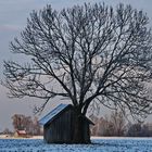 Die Hütte im Filz