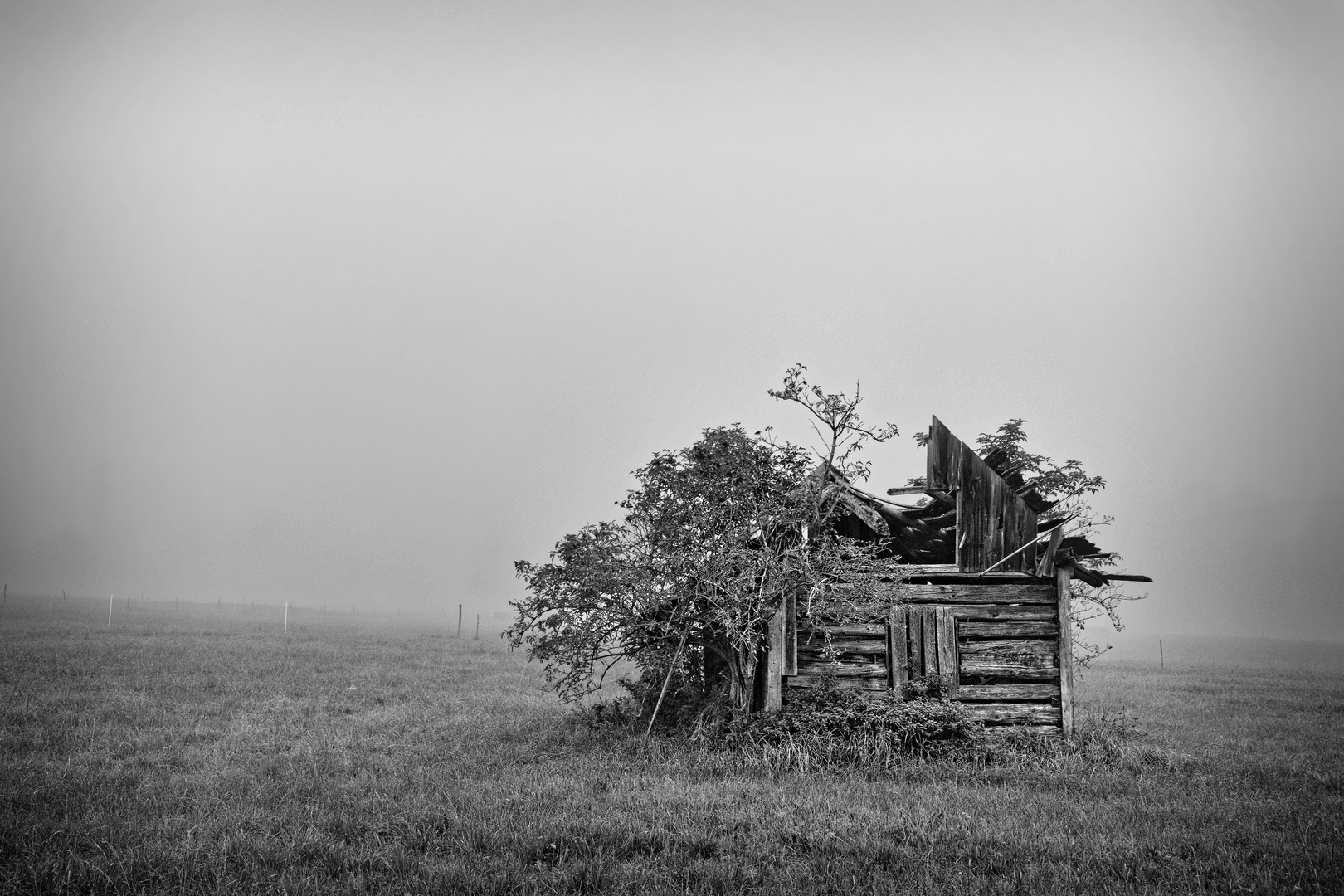 Die Hütte im Nebel