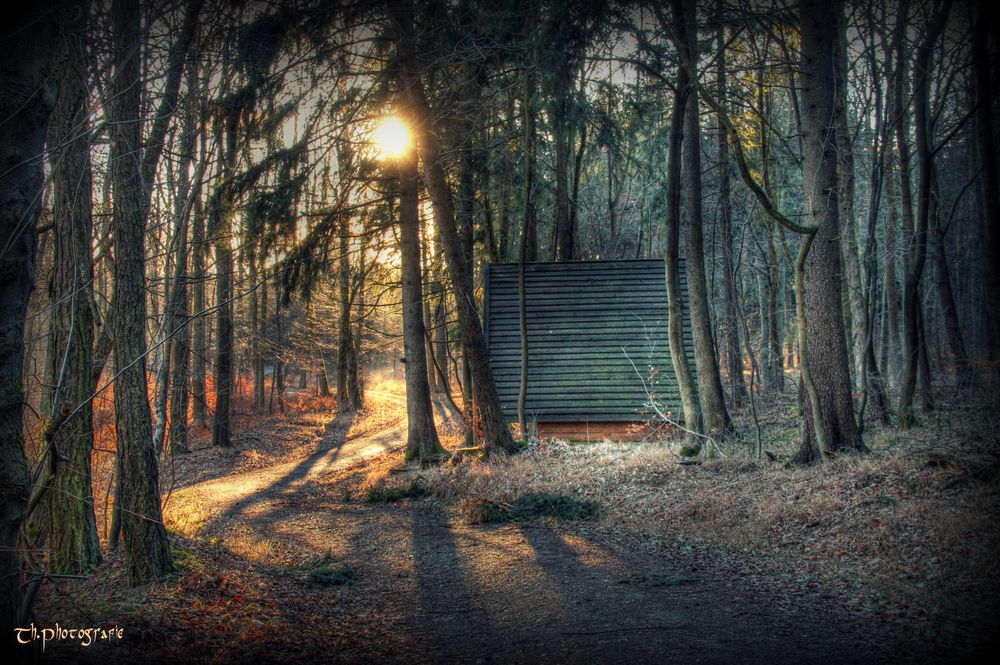 ~ die Hütte im Wald ~