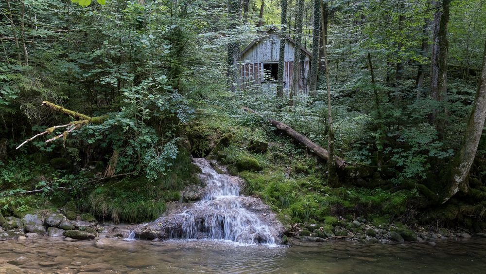 die Hütte im Wald Foto & Bild | wald, wasser, blau Bilder auf fotocommunity