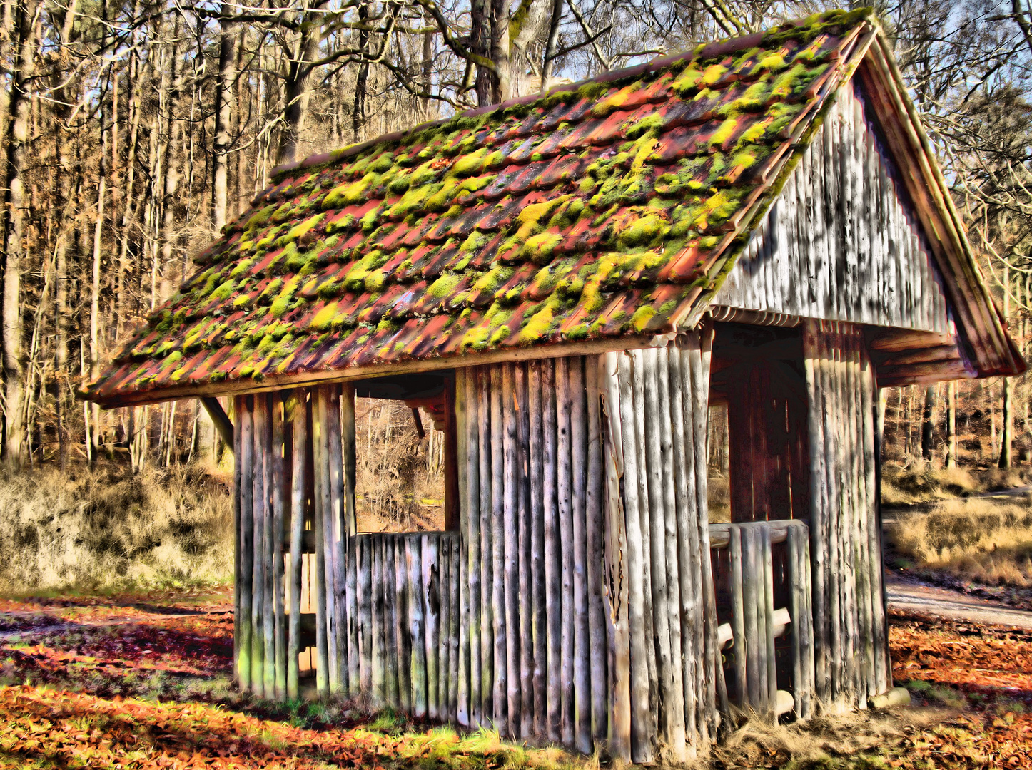 Die Hütte im Wald