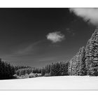 Die Hütte im Wald