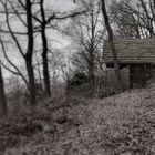 Die Hütte im Wald