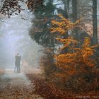 Die Hütte im Wald