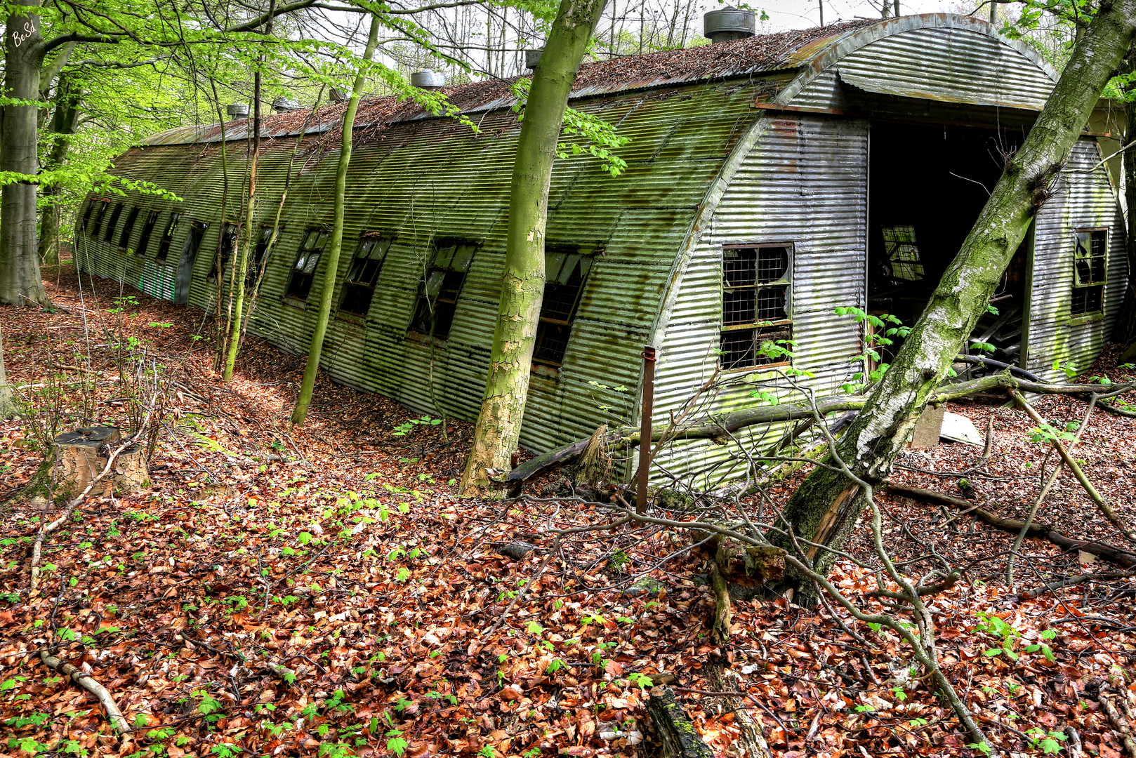 Die Hütte im Wald....