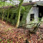 Die Hütte im Wald....