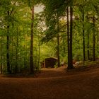 Die Hütte im Wald...
