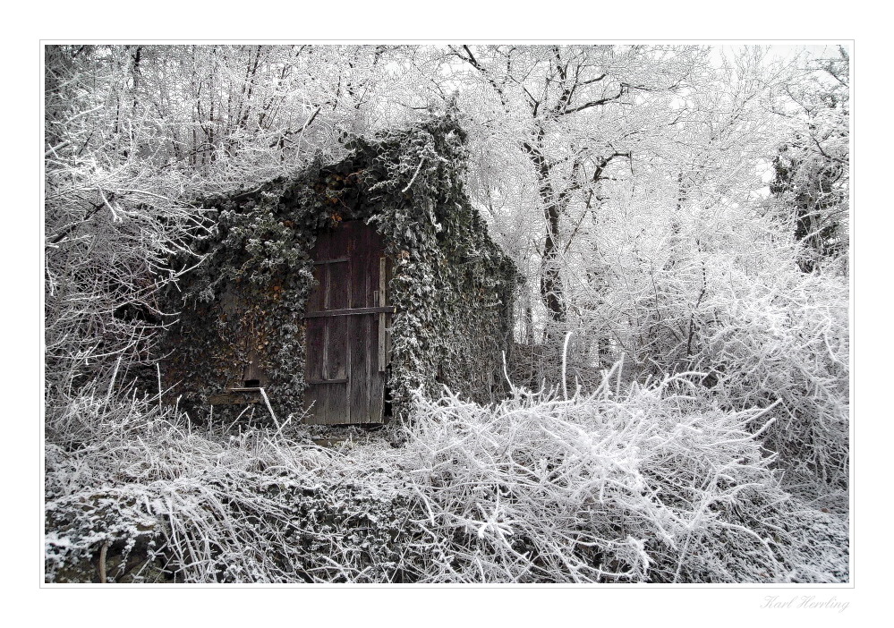 die Hütte im Wald Foto & Bild | jahreszeiten, winter, natur Bilder auf