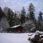 Die Hütte im Wald