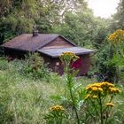 Die Hütte im Wald