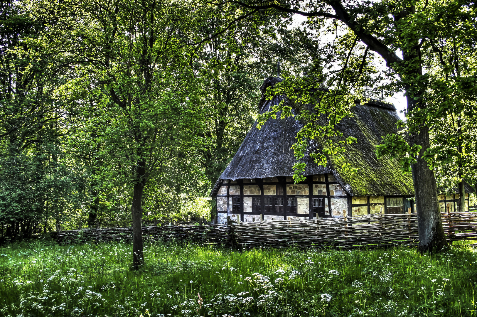 ~ Die Hütte im Wald ~