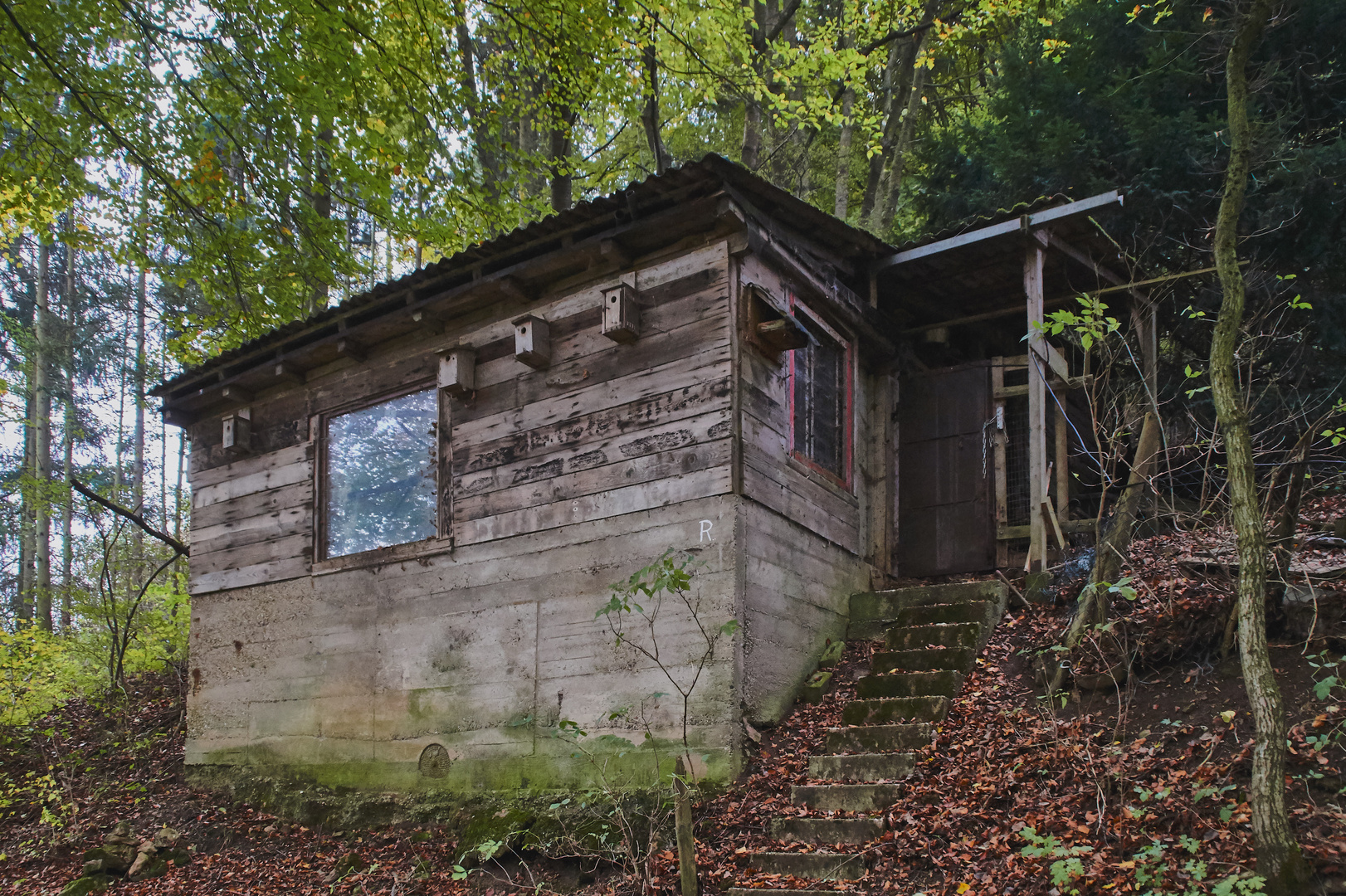 Die Hütte im Wald Foto & Bild | wald, hütte, architektur Bilder auf