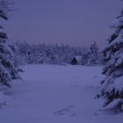 Die Hütte im Wald