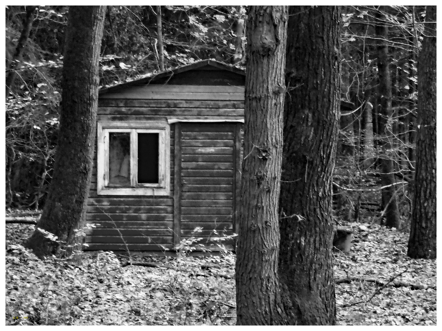 Die Hütte im Wald .....