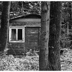 Die Hütte im Wald .....