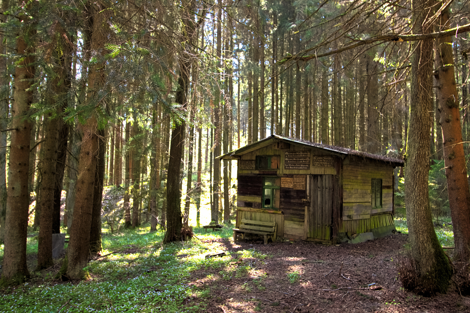 Die Hütte im Wald