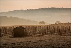 Die Hütte im Wingert