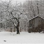 Die Hütte im Wintergarten
