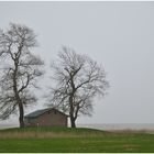 Die Hütte noch einmal