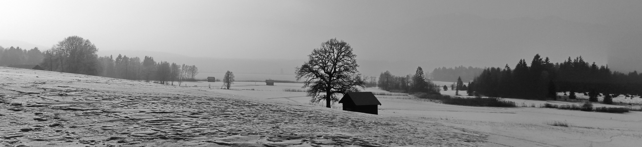 Die Hütte unter dem Baum