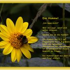 Die Hummel