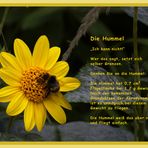 Die Hummel