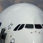 ... die Hummel der Luftfahrt (A380)