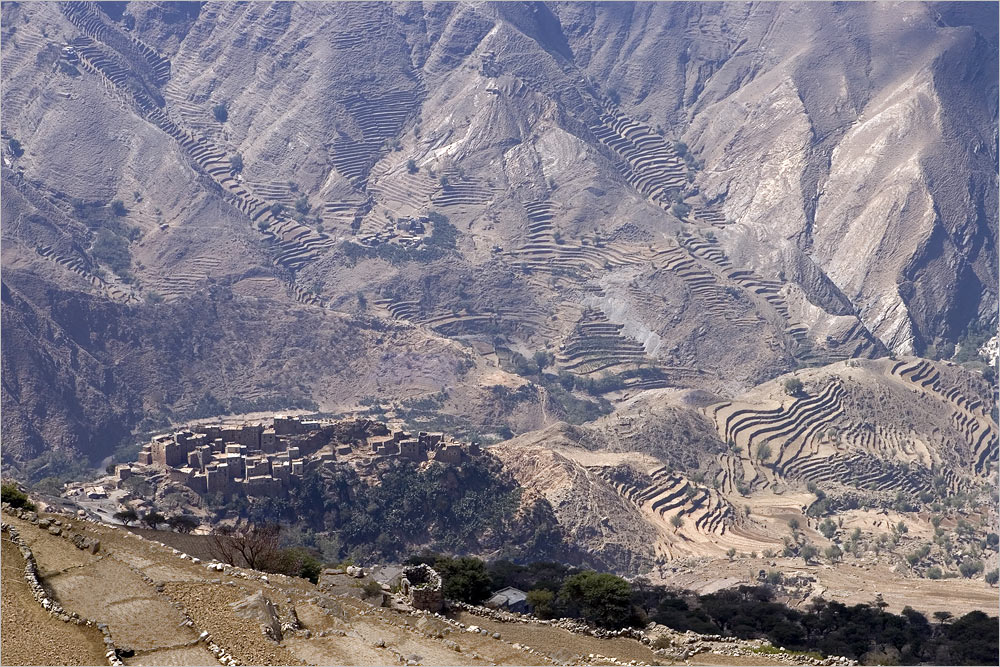 die hunde bellen, aber die karawane