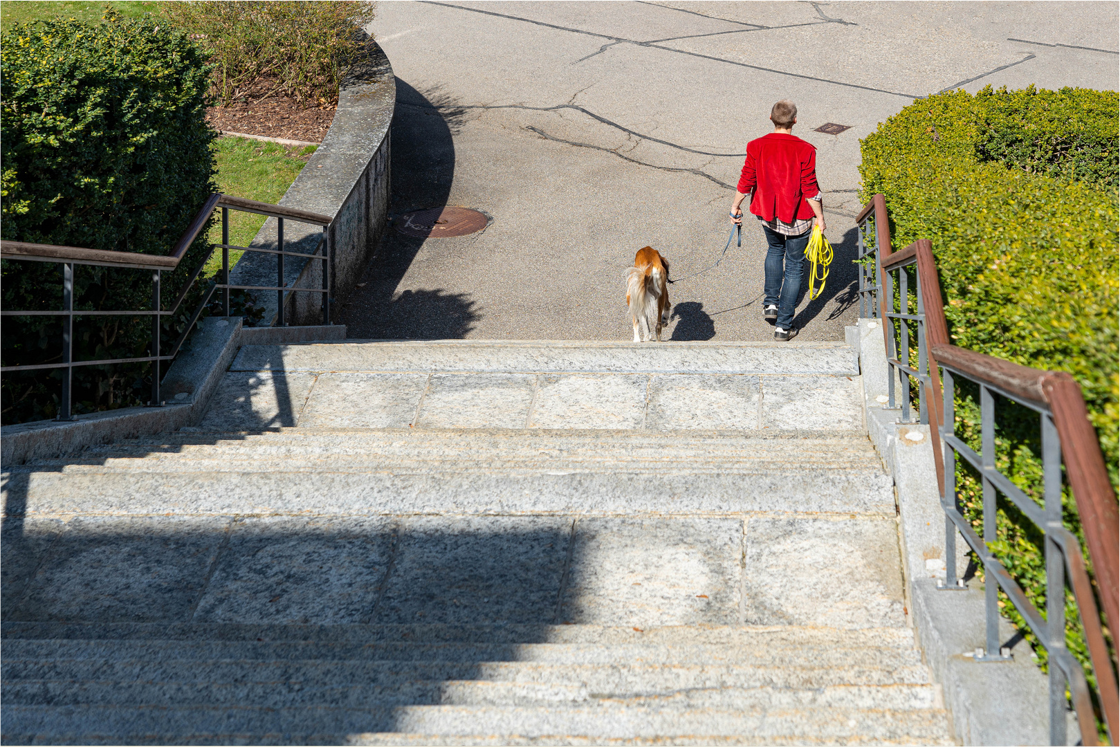 Die Hundebegleiterin ist unten angekommen