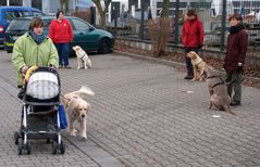 Die Hundeflüsterin (3): Kinderwagen sind Luft