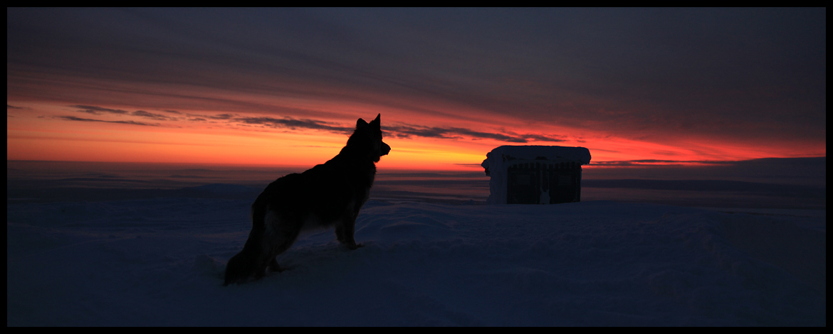 Die Hundehütte Gottes....