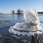 Die Hutmode vom Niederrhein