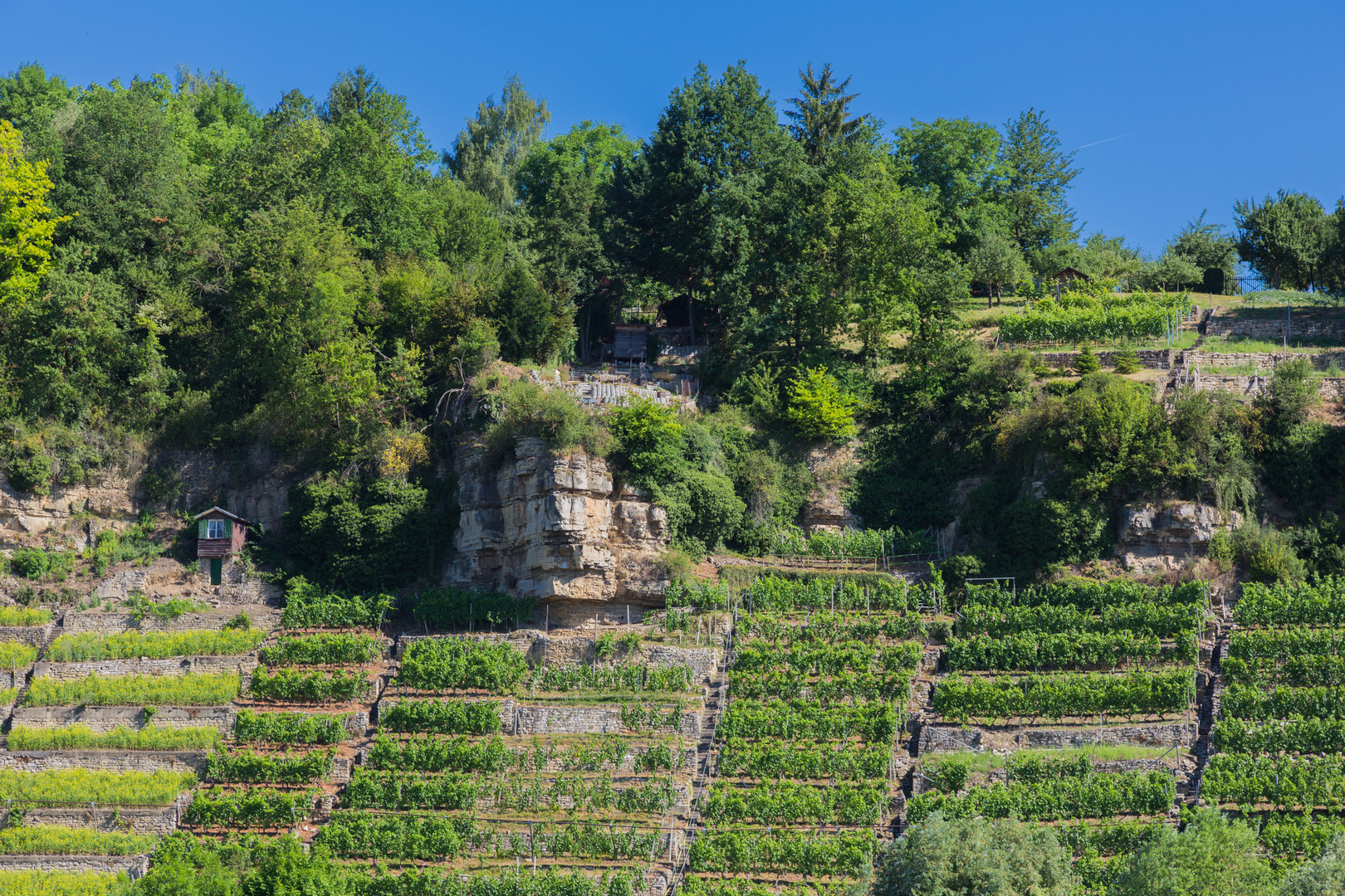 Die Hu?tte im Weinberg