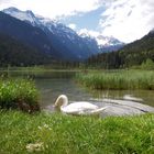 Die Idylle am Jägersee immer wieder schön bei uns