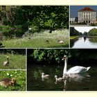 Die Idylle im Schlosspark - Nymphenburg