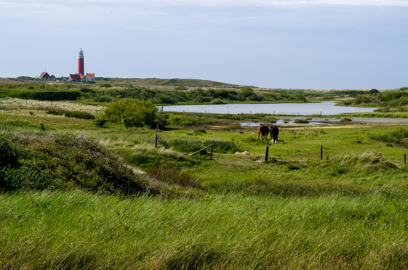 Die Idylle von Texel