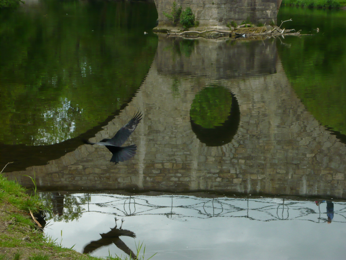 Die Ilm und der Vogel