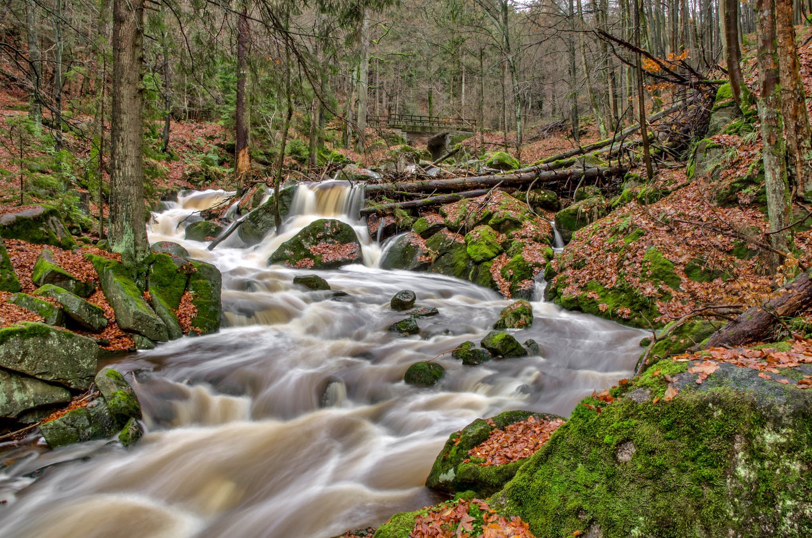Die Ilse Foto & Bild jahreszeiten, herbst, natur Bilder auf