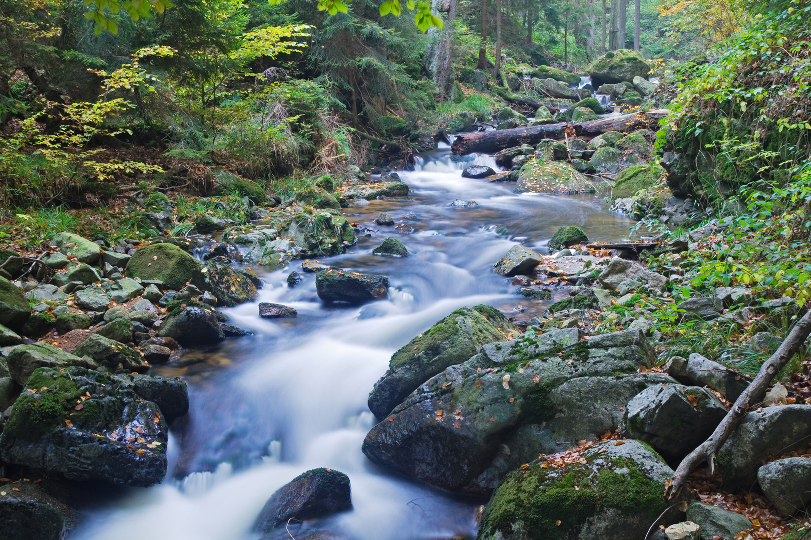 die Ilse im Harz Foto & Bild landschaft, bach, fluss & see, flüsse