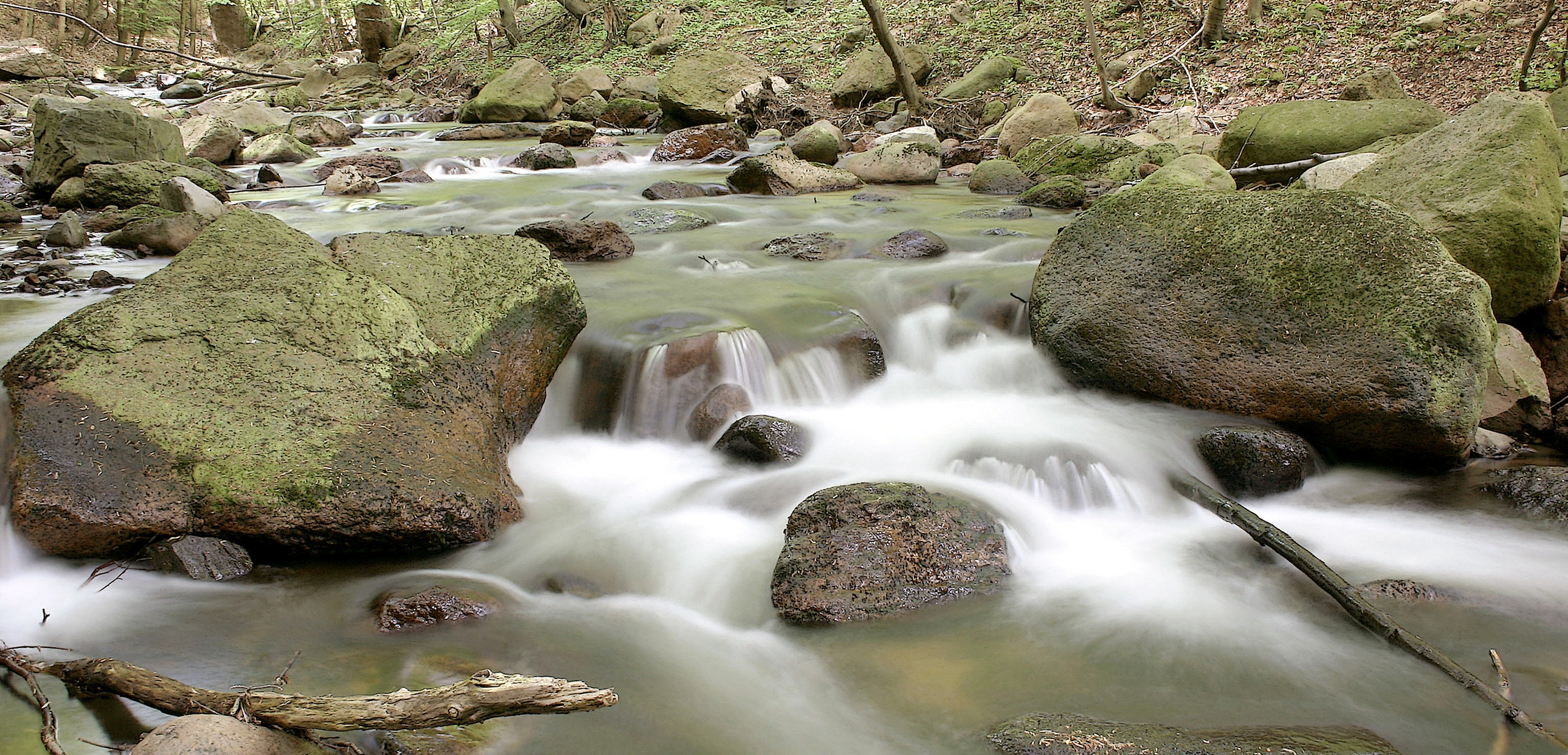 Die Ilse im Harz