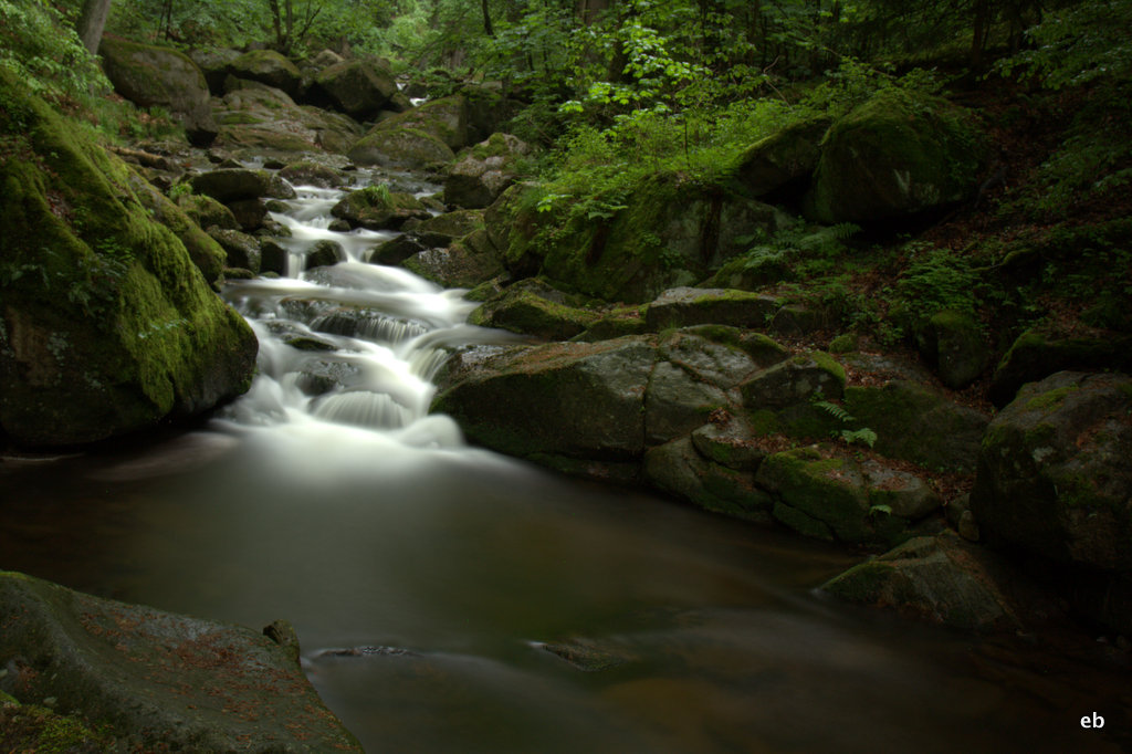 die Ilse im Harz